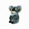 Daphnes headcover zvíře - Koala