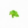 Daphnes headcover zvíře - Turtle - Želva