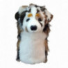 Daphnes headcover zvíře - Australian Shepherd - Australský ovčák