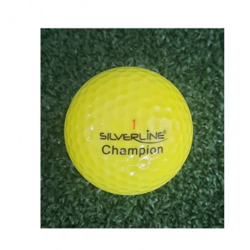 Silverline ball Champion...